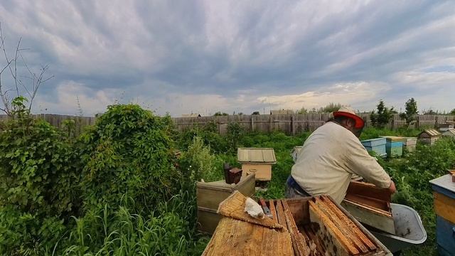 пасека смотреть онлайн