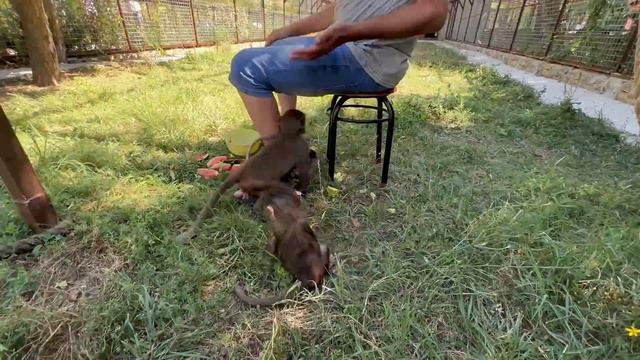 Влад в ШОКЕ, мы вообще стали не нужны Степе и Мане, у них теперь правит МАМА-ЛЮСЯ((( смотреть онлайн