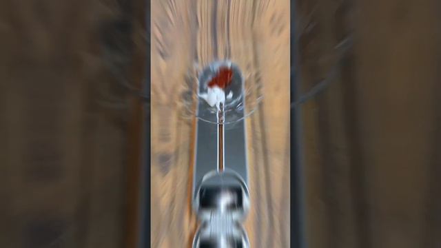 السعرات الحرارية فى الكاتشب و المايونيز أكياس هاينز смотреть онлайн