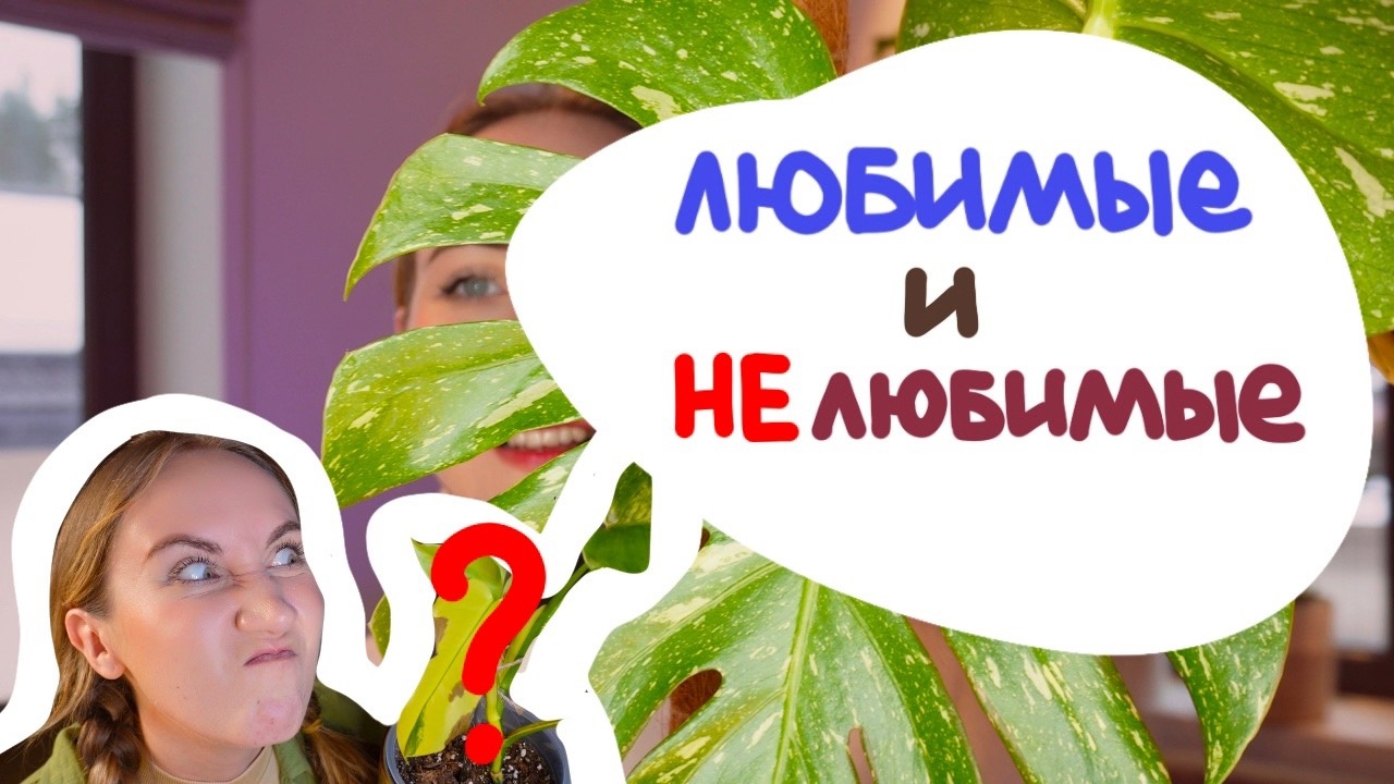 Любимые и НЕ любимые РАСТЕНИЯ | Февраль 2024 смотреть онлайн