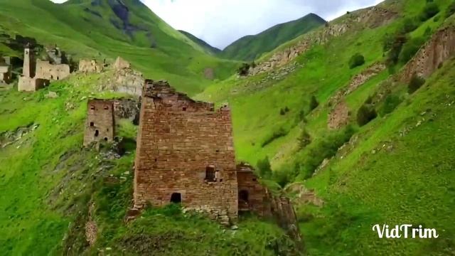 Даймохк Арби Цураев смотреть онлайн