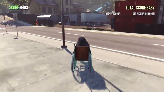 Disabled dolphin assults civilian смотреть онлайн