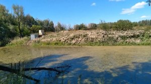 Нет своего жилья-не заводи семью