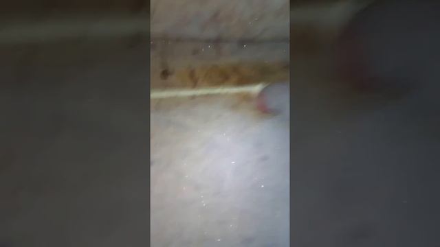 свинарник каркасник 1 из 2 смотреть онлайн