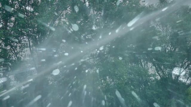 Крошечные инструменты: управление отдельными каплями воды как биохимическими реакторами смотреть онлайн