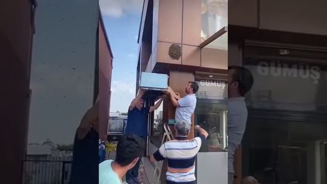 Видео,приколы,юмор,смех смотреть онлайн