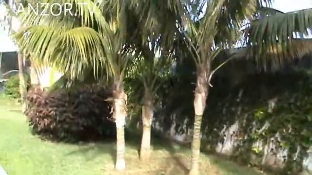 ИСПАНИЯ: В город за хлебом..Санта Круз на Ла Пальма..Канарские острова La Palma смотреть онлайн