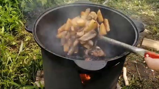 Домашние Животные и Их Уход