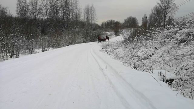 Владимирские тяжеловозы хозяйства "Атланты Северной Столицы" Зима 2020-2021 смотреть онлайн