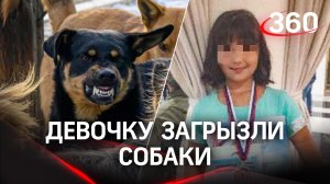 Юную шахматистку загрызли собаки в Сочи