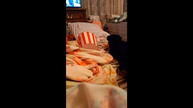 Вот почему нельзя оставлять попкорн без присмотра смотреть онлайн