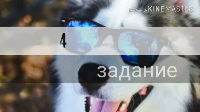 Прохожу тест.Как я я знаю породы собак. смотреть онлайн