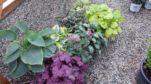 Planting Full Shade Window Boxes! 💚🌿💚 // Garden Answer смотреть онлайн
