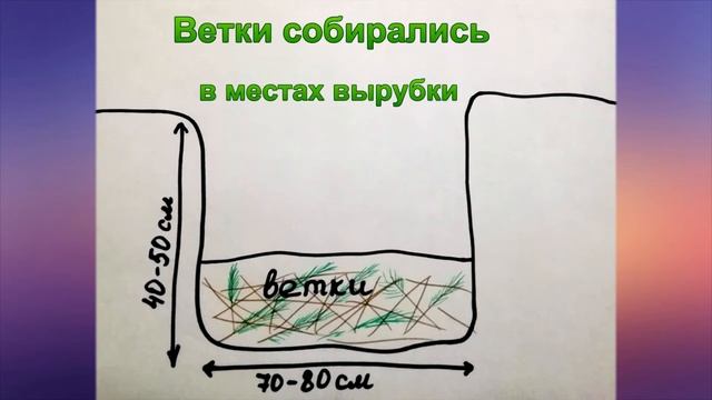 Голубика. Как посадить голубику? смотреть онлайн