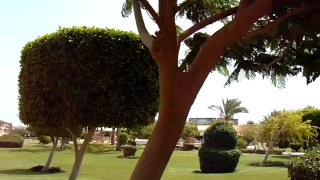 Hurghada, Egypt, Hilton Hotel Resort Long Beech