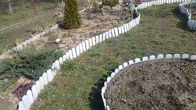 крокусы,самшит,нарциссы,небольшая прогулка по саду. смотреть онлайн