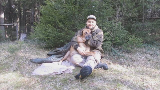 стих про рыжую собаку смотреть онлайн