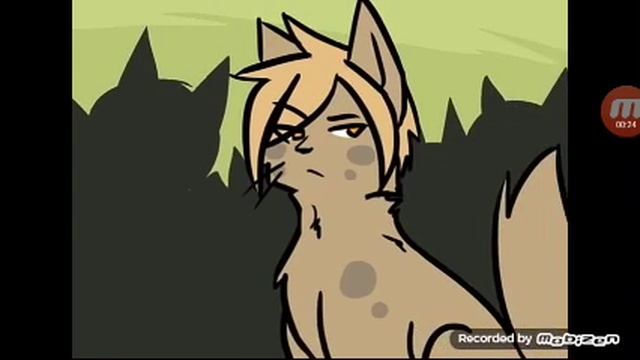 Синяя Звезда делает сэлфи