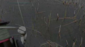 СЕТКА КОРМУШКА И ПОПЛАВОК, ЛОВИМ КРУПНУЮ РЫБУ. ТЕСТ КИТАЙСКОЙ СНАСТИ.