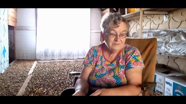 «Его Величество Лук» – Лухская библиотека смотреть онлайн