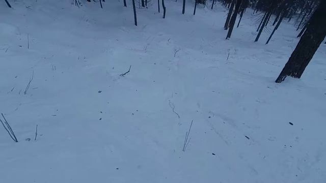 Фрирайд на горных лыжах Такман смотреть онлайн