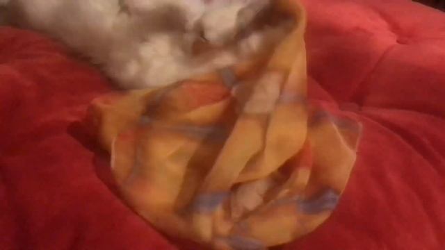 Спокойной ночи!?Сладких снов!?Приятных сновидений!??