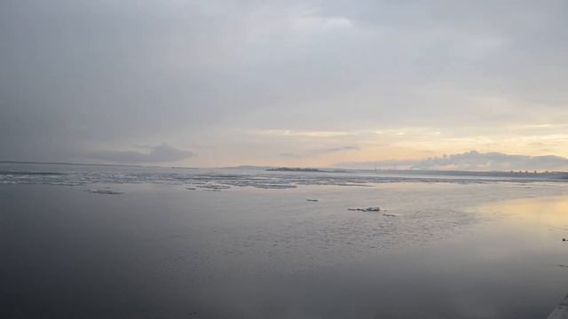 видео с Nikon D3100