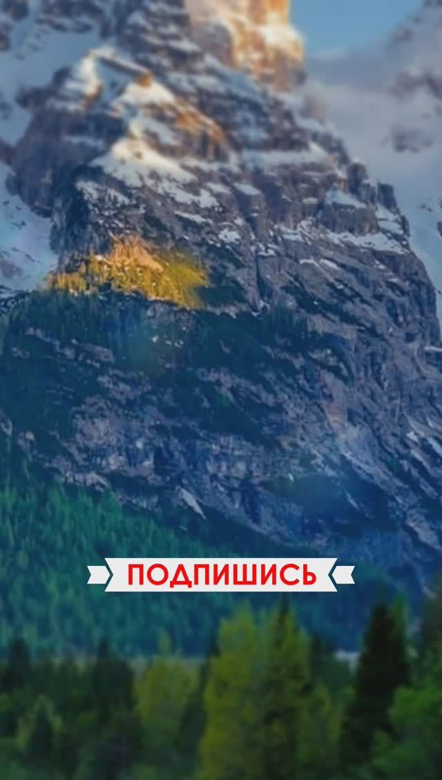 ?? Никто из родственников не решился стать опекуном для неё #shorts смотреть онлайн