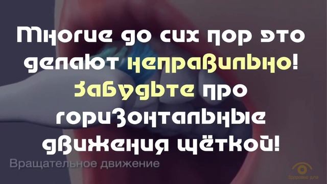 Как правильно чистить зубы смотреть онлайн