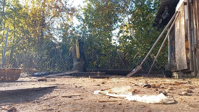 Переносим кур обратно в сарай, краснуха снесла кривое яйцо! смотреть онлайн