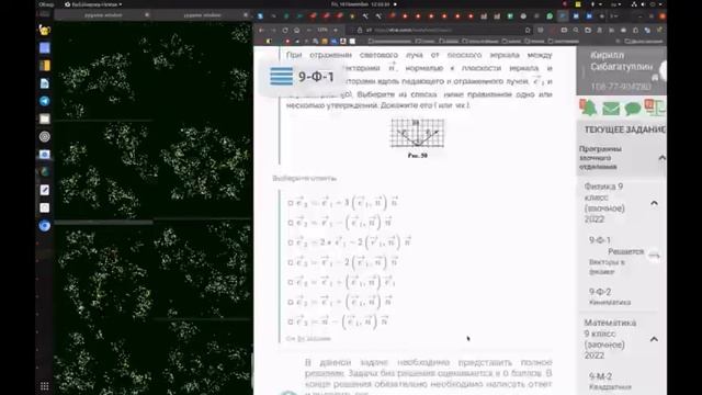 симуляция жизни на python смотреть онлайн