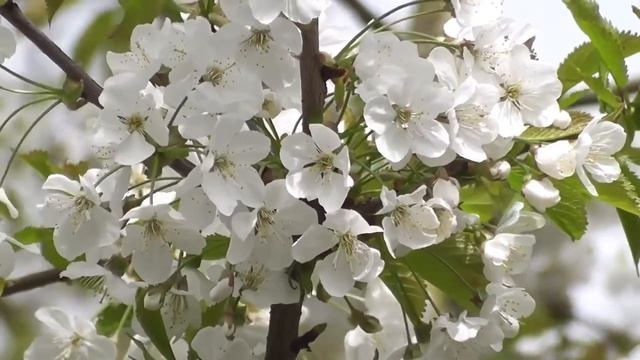 | Истории о любви | смотреть онлайн