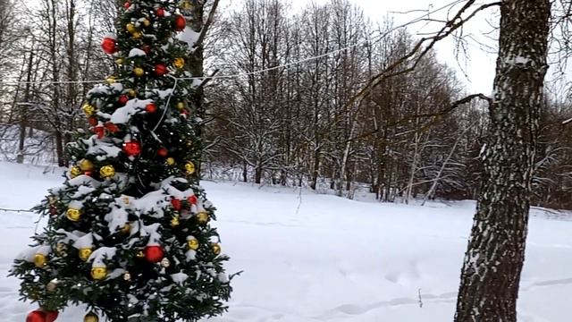 Новогодняя композиция на паломнической тропе в Новом Иерусалиме. 17 декабря 2023 год. смотреть онлайн