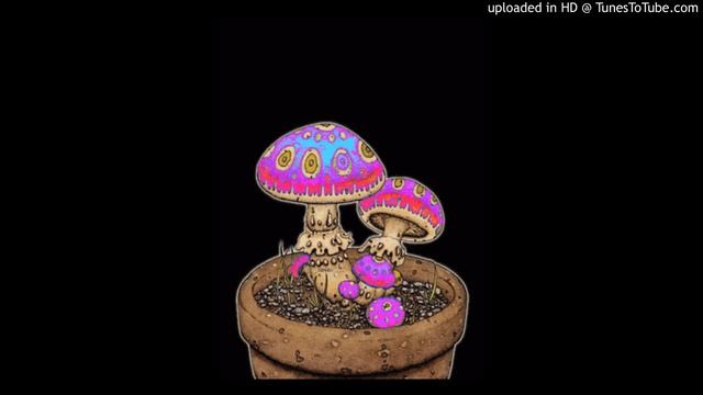 Holly Dolly --- Dolly Song ( Ievas Polka ) (ROUND)