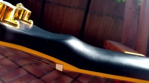 Harley Benton Sc Custom // Review