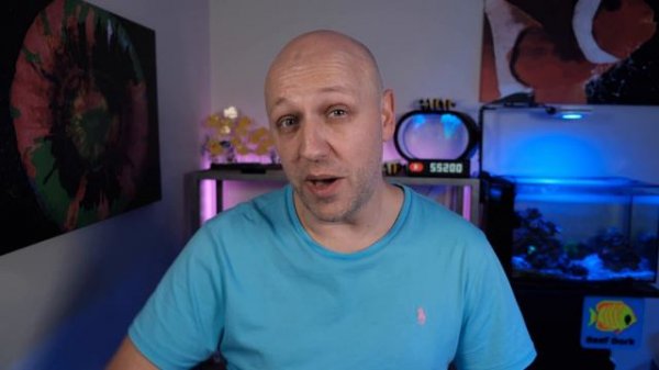 Deltec KM500 Kalkwasser Stirrer Review