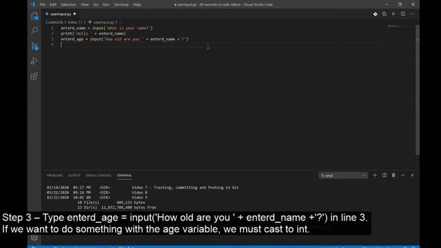 User Input and Type Casting in Python - 60 Seconds to Code смотреть онлайн