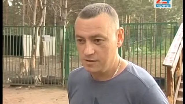 В большой семье – вновь пополнение смотреть онлайн
