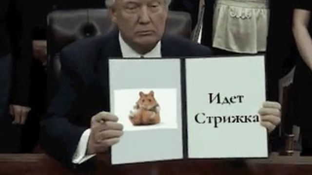 Трамп про рубль смотреть онлайн