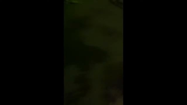 Вода водолеев смотреть онлайн