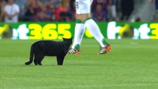 смешные моменты на футбольном поле..funny moments on the football field смотреть онлайн