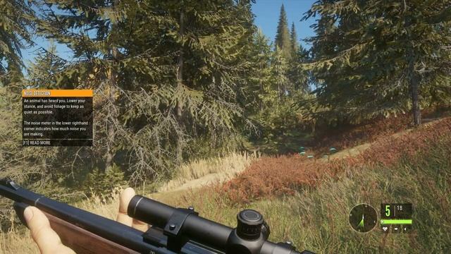 The hunter call of Wild i7 4720HQ GTX950M Fps Test, Medium setting, 1600x900 смотреть онлайн