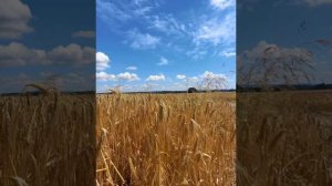 Расслабление после тренировки или перед сном