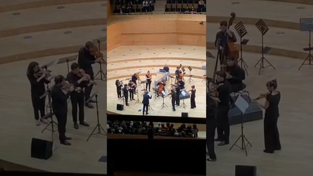 #Vivaldi #mandolin #concerto live in Ankara 🇹🇷 смотреть онлайн