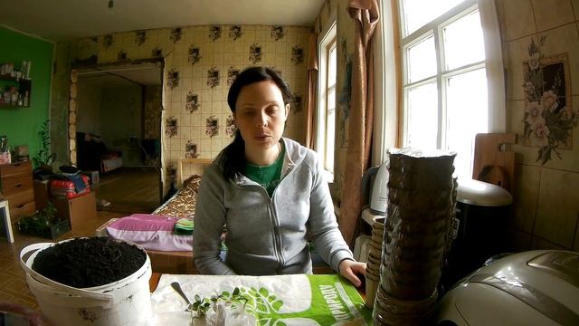 Чем заняться девушке в деревне?// Дела домашние смотреть онлайн