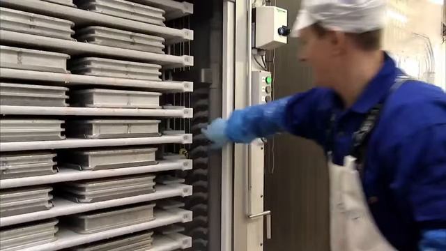 DSI Эксплуатация горизонтального плиточного скороморозильного аппарата смотреть онлайн
