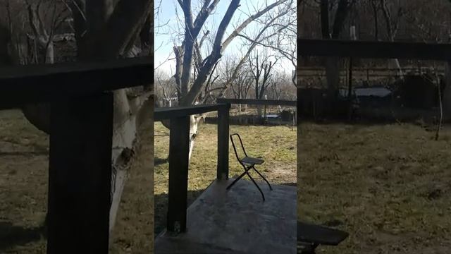 Продаётся Дача с. Ясногородка СТ "Жовтень" смотреть онлайн
