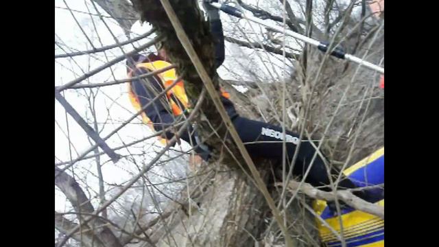 Каширка Лайт 2014 смотреть онлайн