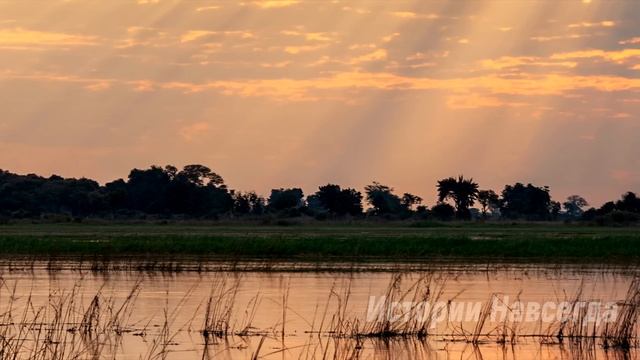 Свекровь выставила деревенскую невестку сироту за дверь. А спустя время, увидев ее… смотреть онлайн