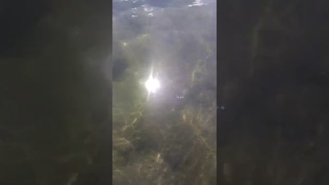 озеро Увильды смотреть онлайн